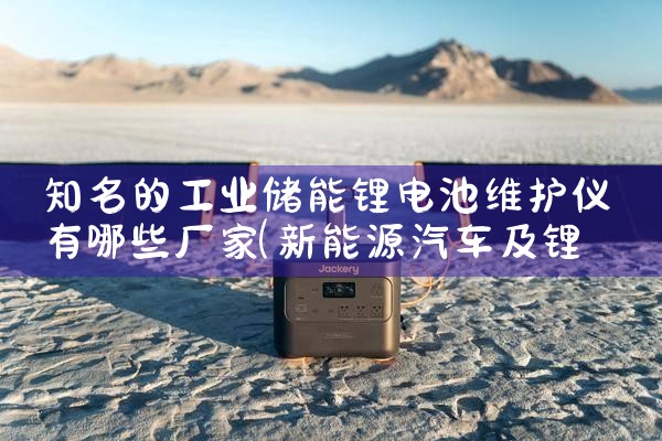 知名的工业储能锂电池维护仪有哪些厂家|艾薇特