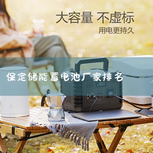 国产蓄电池十大名牌排名,中国蓄电池十大名牌排名,中国蓄电池十大品牌那些,艾薇特