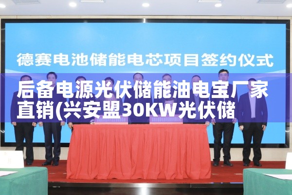 后备电源光伏储能油电宝厂家直销|艾薇特