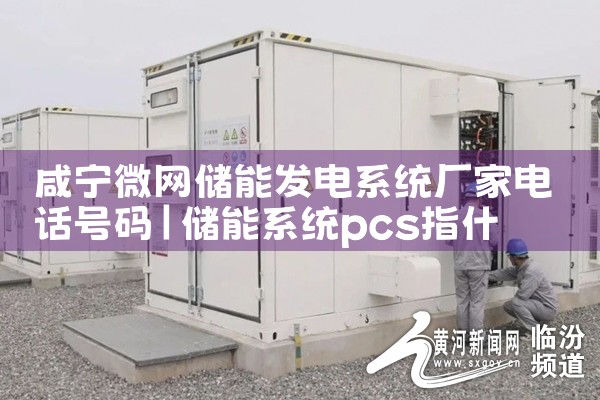 咸宁微网储能发电系统厂家电话号码|艾薇特
