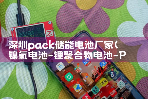 深圳pack储能电池厂家