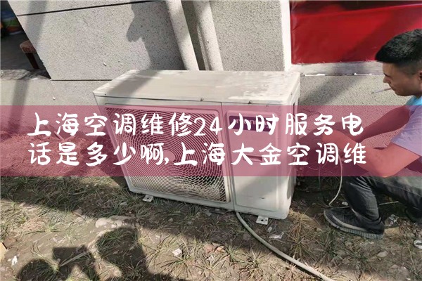 Ϻյά24Сʱ绰Ƕٰ|ͬŷ