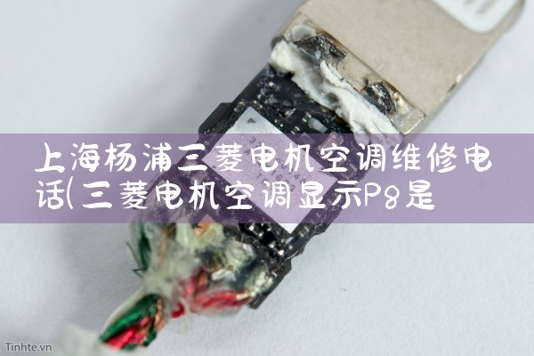 Ϻյά޵绰|ͬŷ