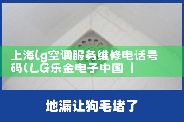 Ϻlgյά޵绰|ͬŷ